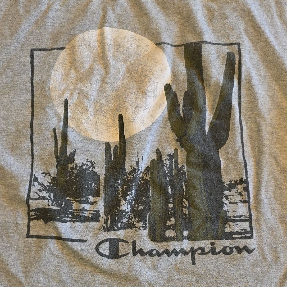 Champion Gray Short Sleeve Tee Urban Graphic - Picture 3 of 4